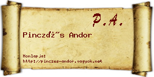 Pinczés Andor névjegykártya