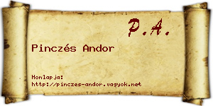 Pinczés Andor névjegykártya